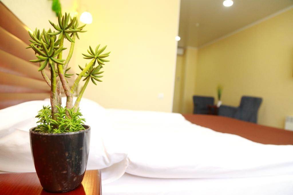 Green City Hotel Bichkek Extérieur photo